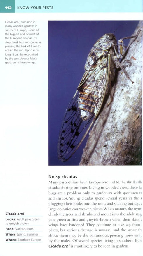 Garden Pests of Brirain & Europe - Michael Chinery 2010